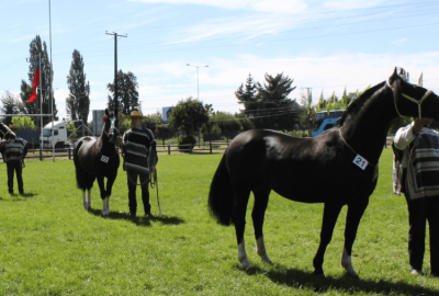 expo-Jura-Ganadera-y-Actividades-Ecuestres